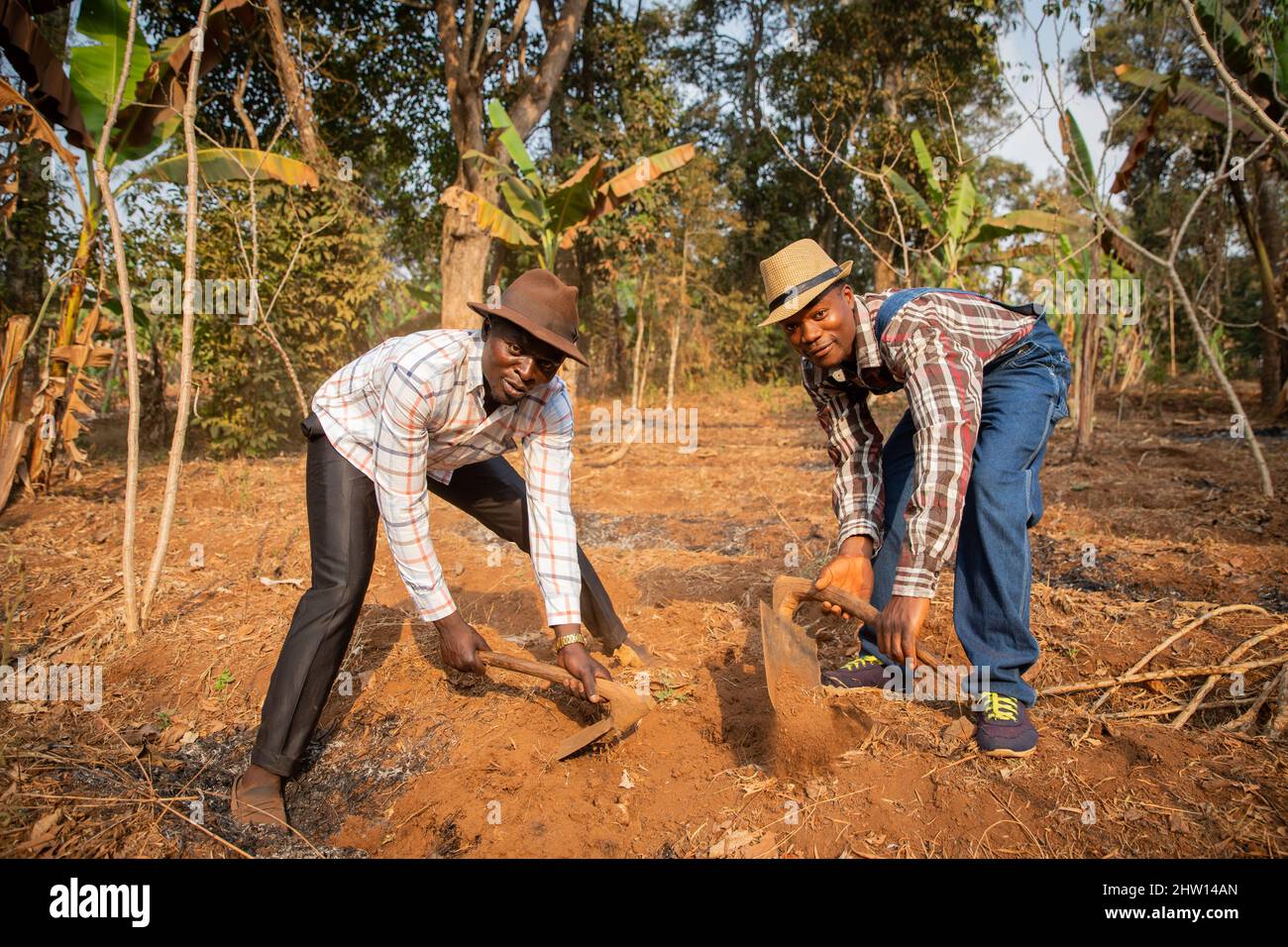 Two african farmers work the land of the field with the hoe, it is dry season and they prepare the field to cultivate it Stock Photo