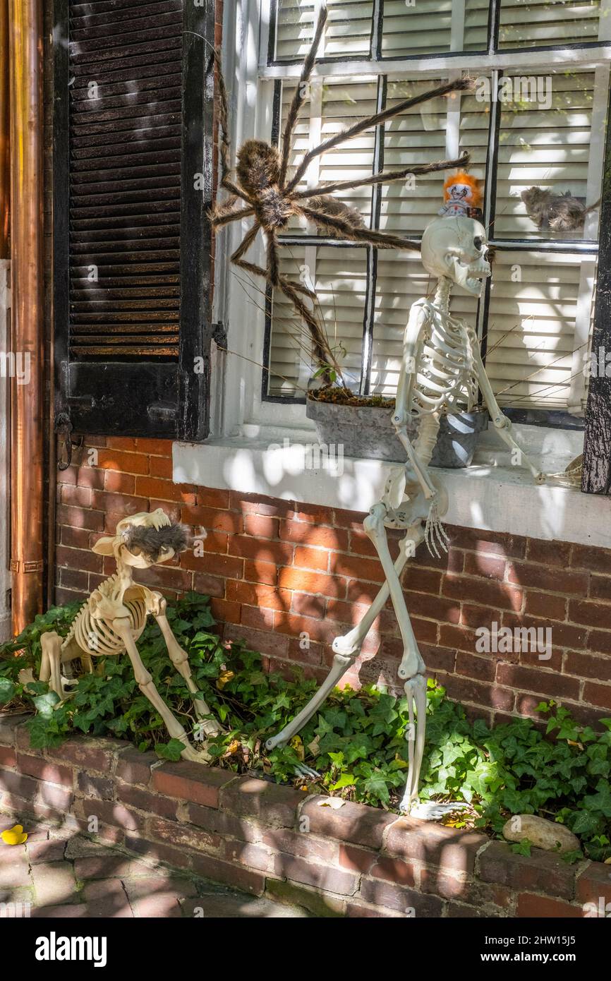 Halloween Decorations, Old Town, Alexandria, Virginia, USA Stock Photo