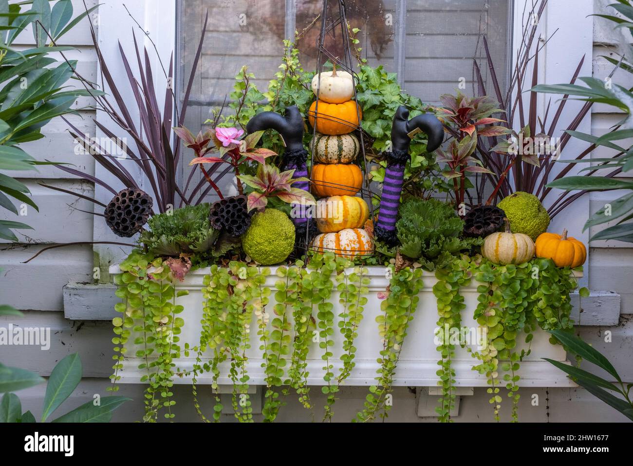 Halloween Decorations, Old Town, Alexandria, Virginia, USA Stock Photo