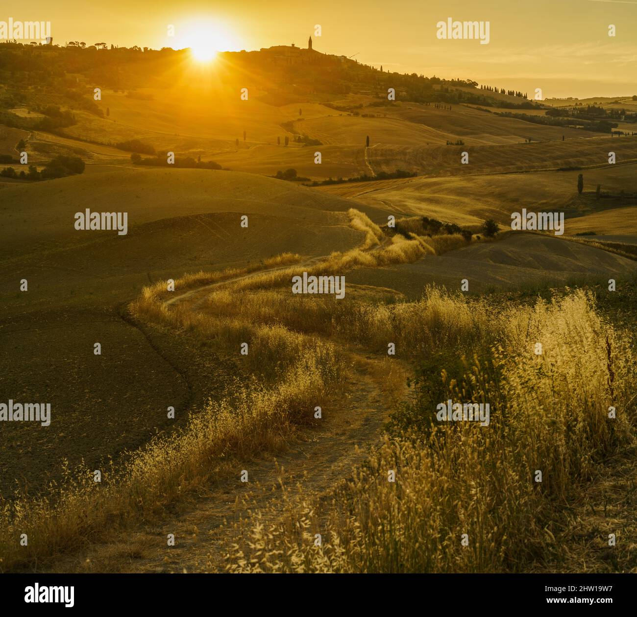 Rural landscape in the Tuscany, Italy, Europe Stock Photo - Alamy