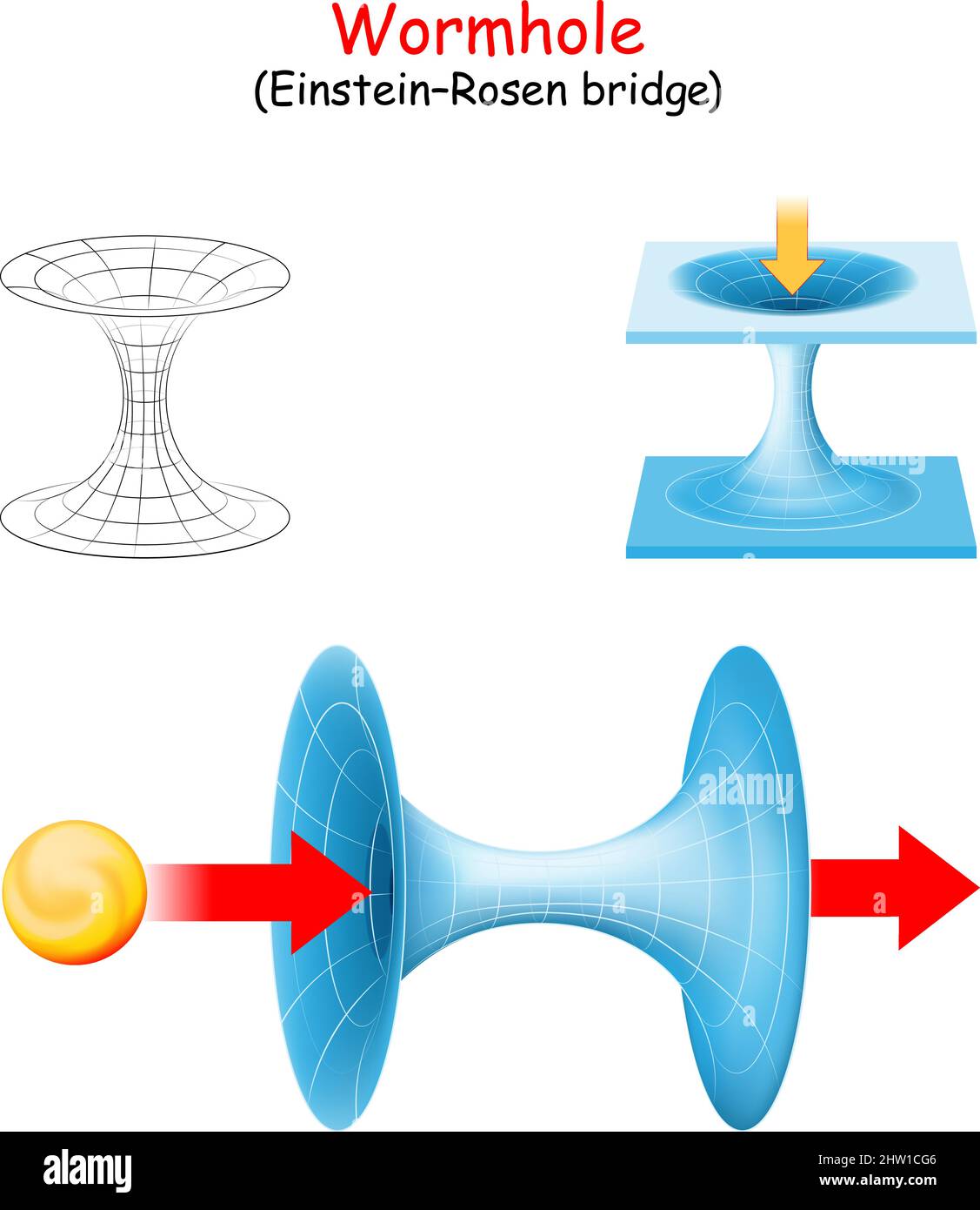 Wormhole. Einstein–Rosen bridge. Travel or cosmic teleport in spacetime. Vector diagram Stock Vector