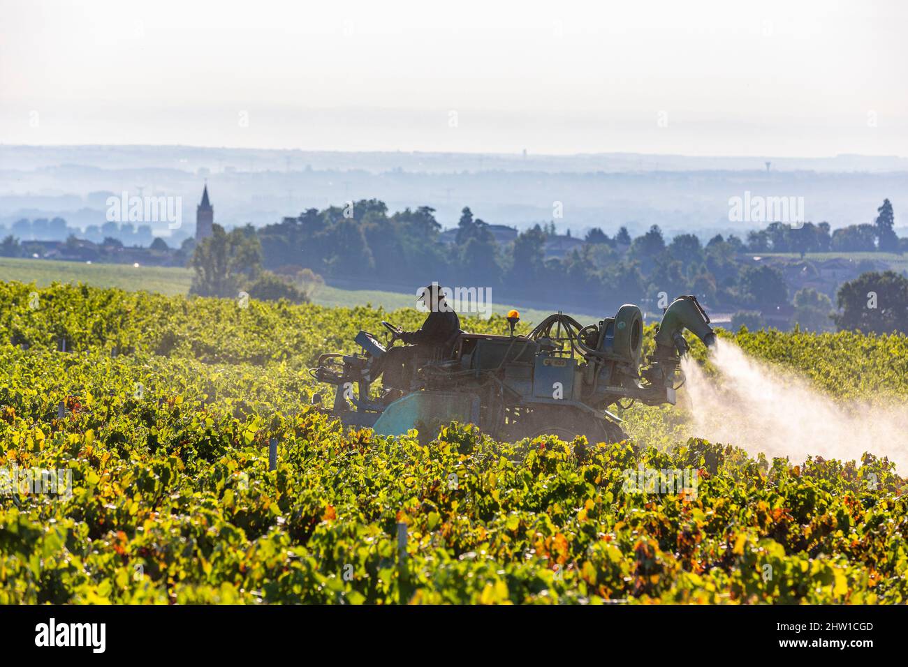 France, Rhone, phytosanitary treatment, Morgon AOC Beaujolais vineyard Stock Photo