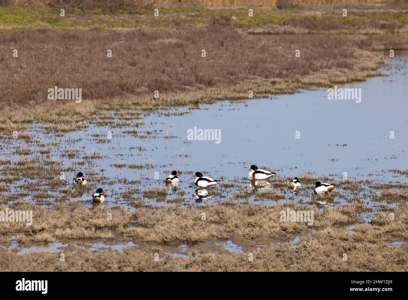 Axios delta national park hi-res stock photography and images - Alamy