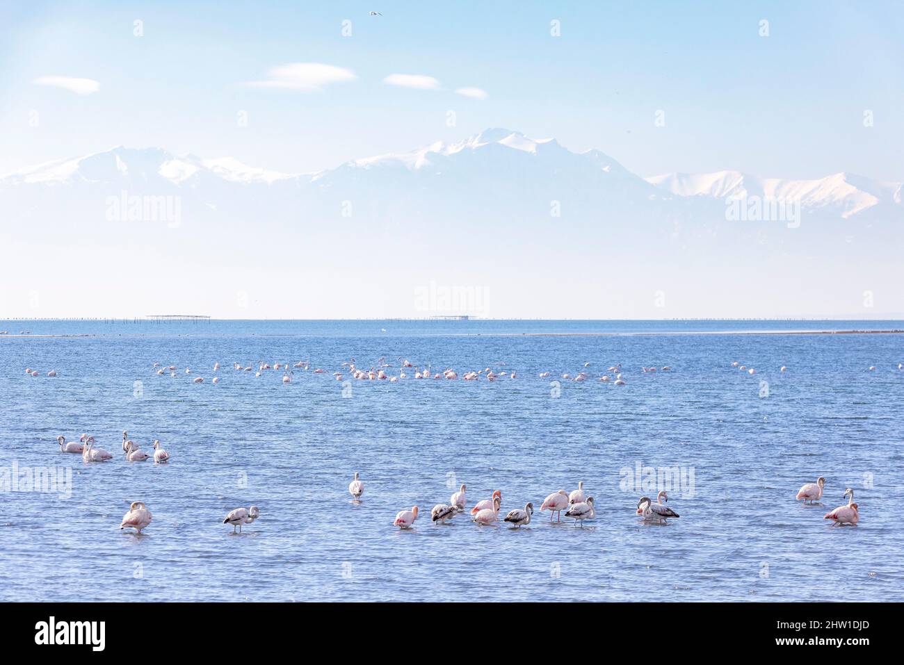Greece, Macedonia, Thessaloniki, Axios Delta National Park, National ...