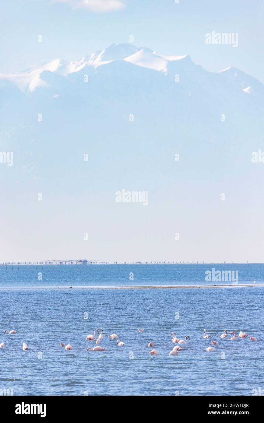 Greece, Macedonia, Thessaloniki, Axios Delta National Park, National ...