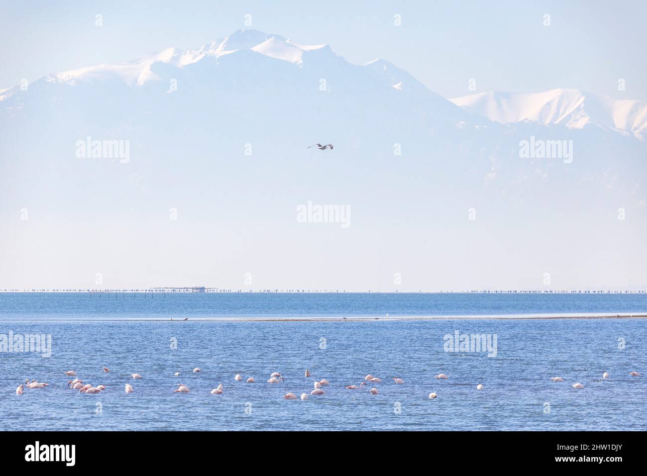 Axios national park thessaloniki hi-res stock photography and images ...