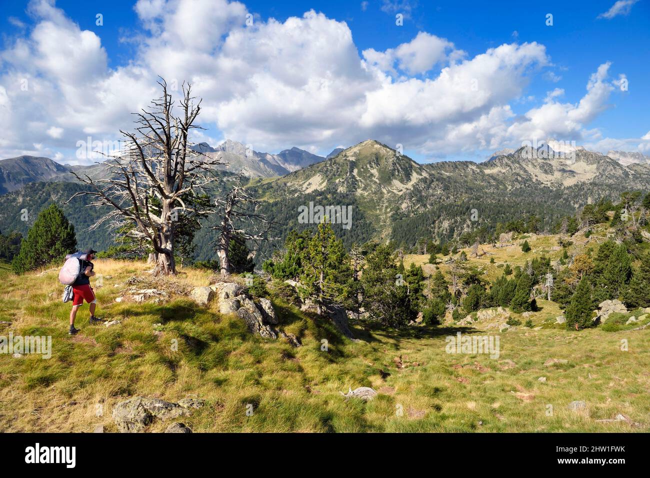 France, Hautes Pyrenees, Saint Lary Soulan and Vielle-Aure, hike on a variant of the GR10 between the Portet pass and the Bastan lakes on the edge of the Neouvielle nature reserve, the Neouvielle massif in the background Stock Photo