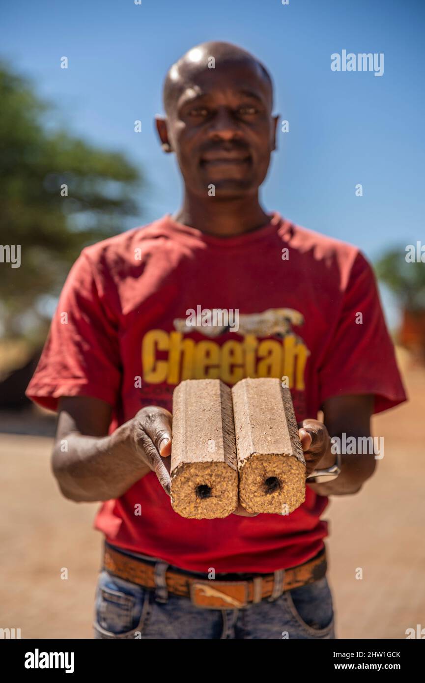Namibia, Otjozondjupa Region, Otjiwarongo, Cheetah Conservation Fund (CCF), making wood briquettes (Bushblok) as a pilot project to explore a strategy to improve cheetah habitat by removing the thick bushes that proliferate in the bush Stock Photo