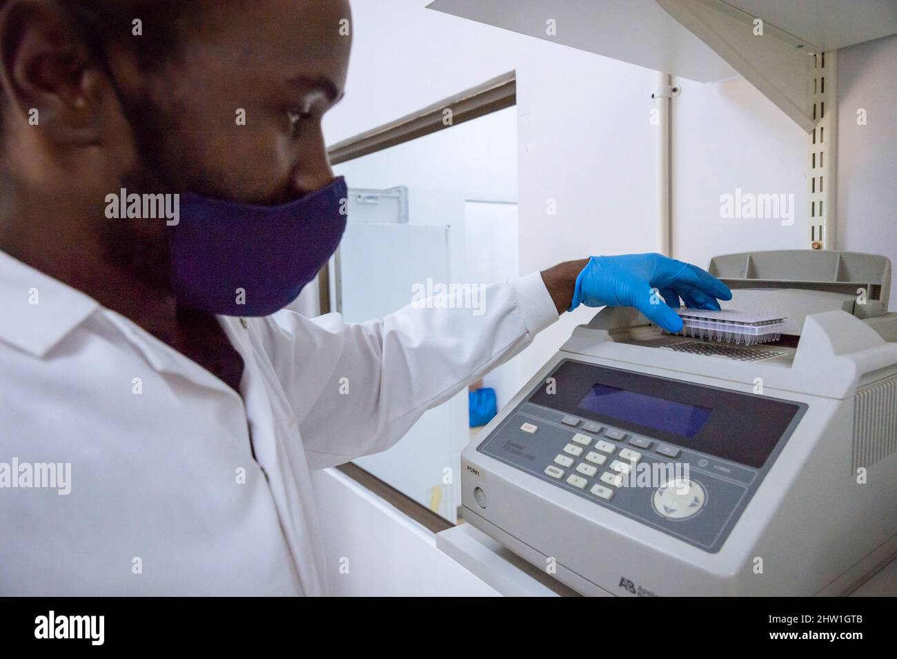 Namibia, Otjozondjupa region, Otjiwarongo, Cheetah Conservation Fund