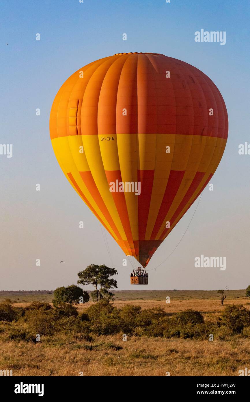 Kenya, Masai Mara National Reserve, National Park, balloons, hot air