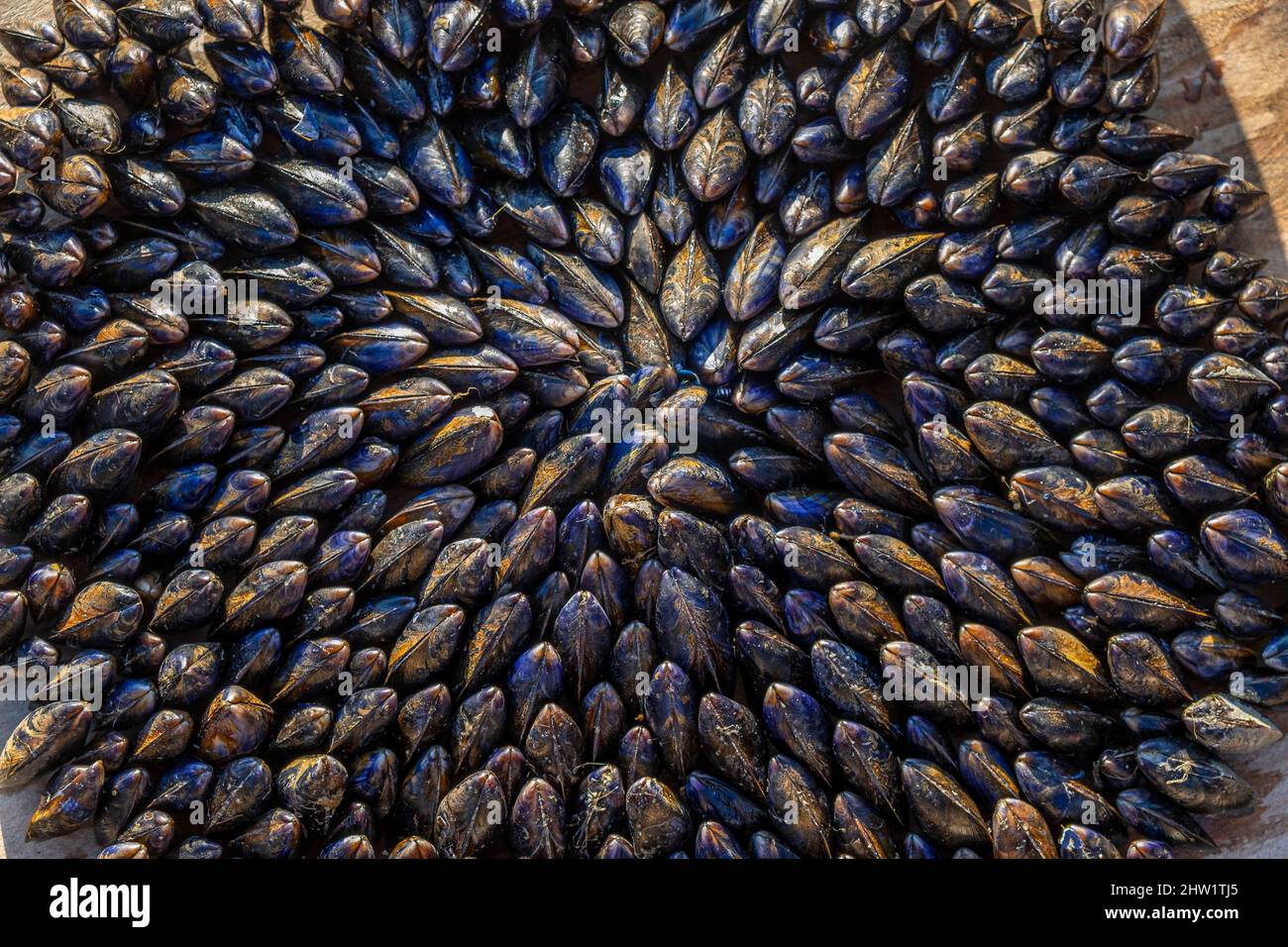 Maritime seafood hires stock photography and images Alamy