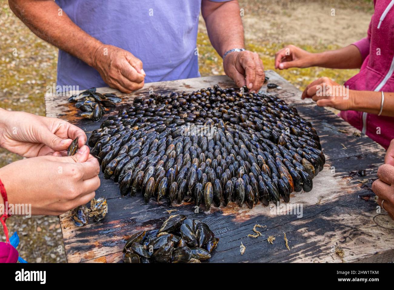 France, Charente Maritime, Ile d'Oleron, eclade, typical and local dish