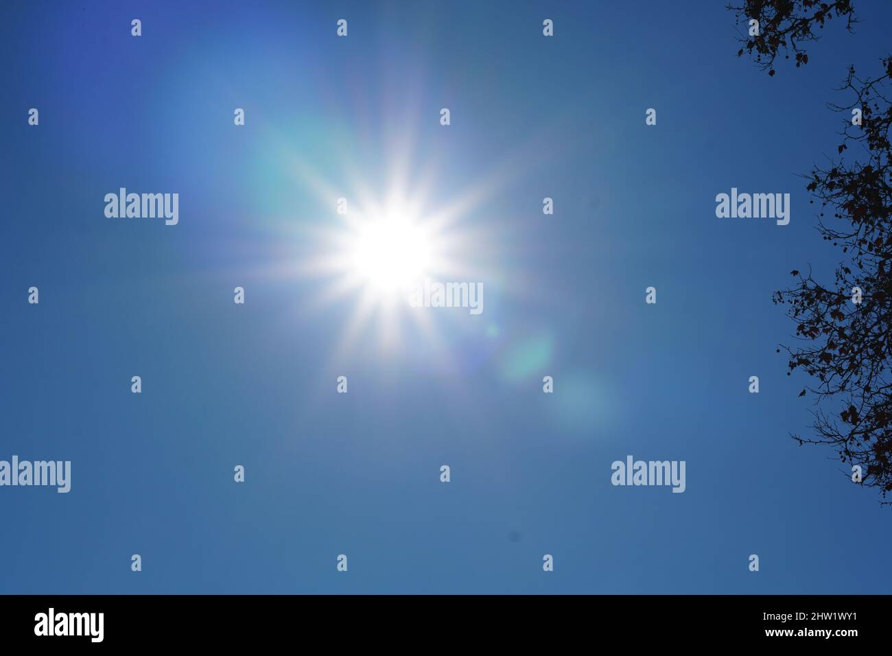 direct sunlight stretching from the sun, against the background of a dark blue sky Stock Photo