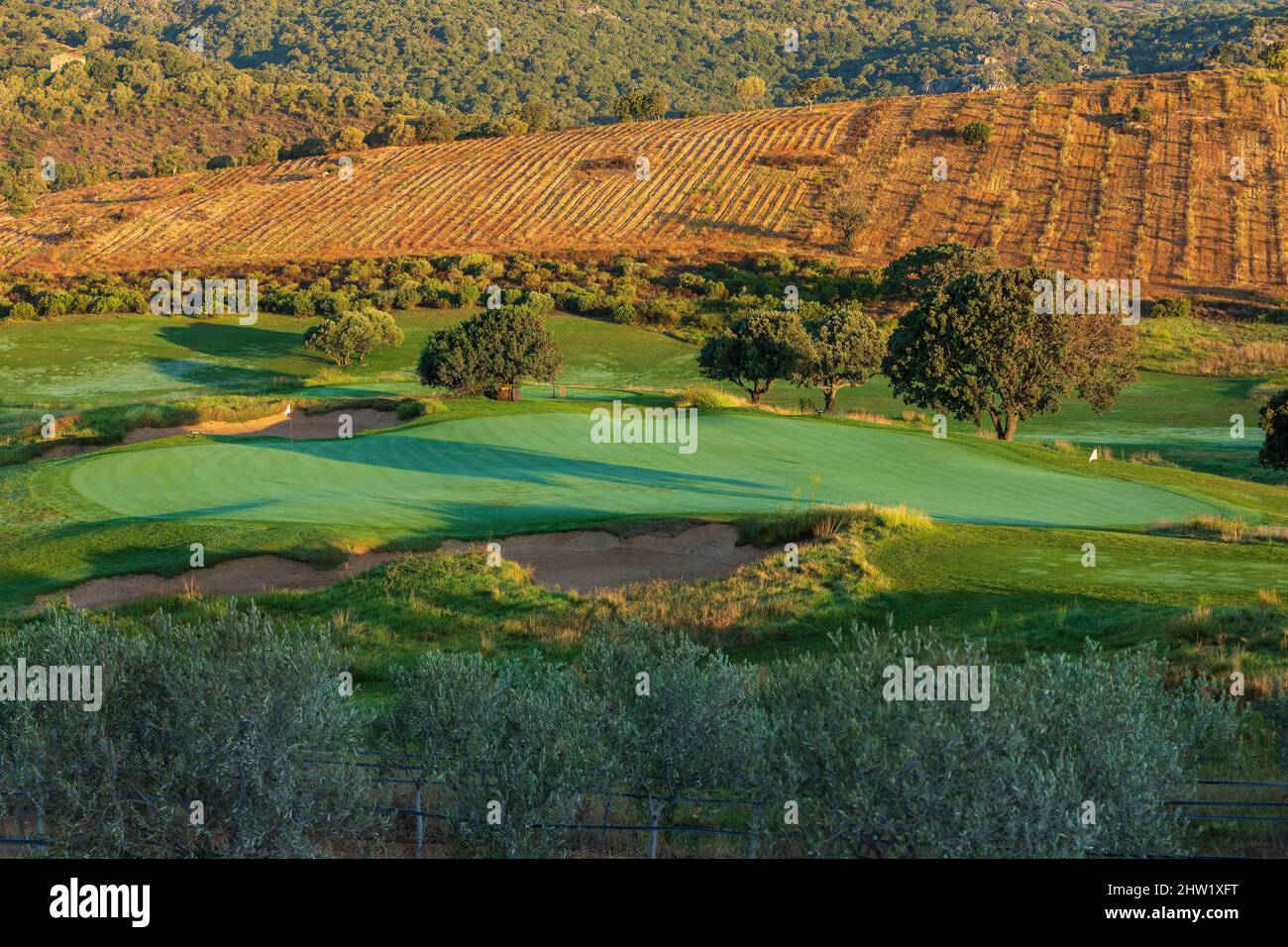 France, Corse du Sud, Domaine de Murtoli, the golf course Stock Photo Alamy