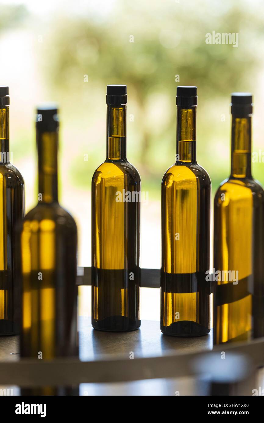 France, Bouches du Rhone, Alpilles Regional Nature Park, Aureille, Maricera olive oil, producers Emilie and Nicolas Racamier, bottling Stock Photo