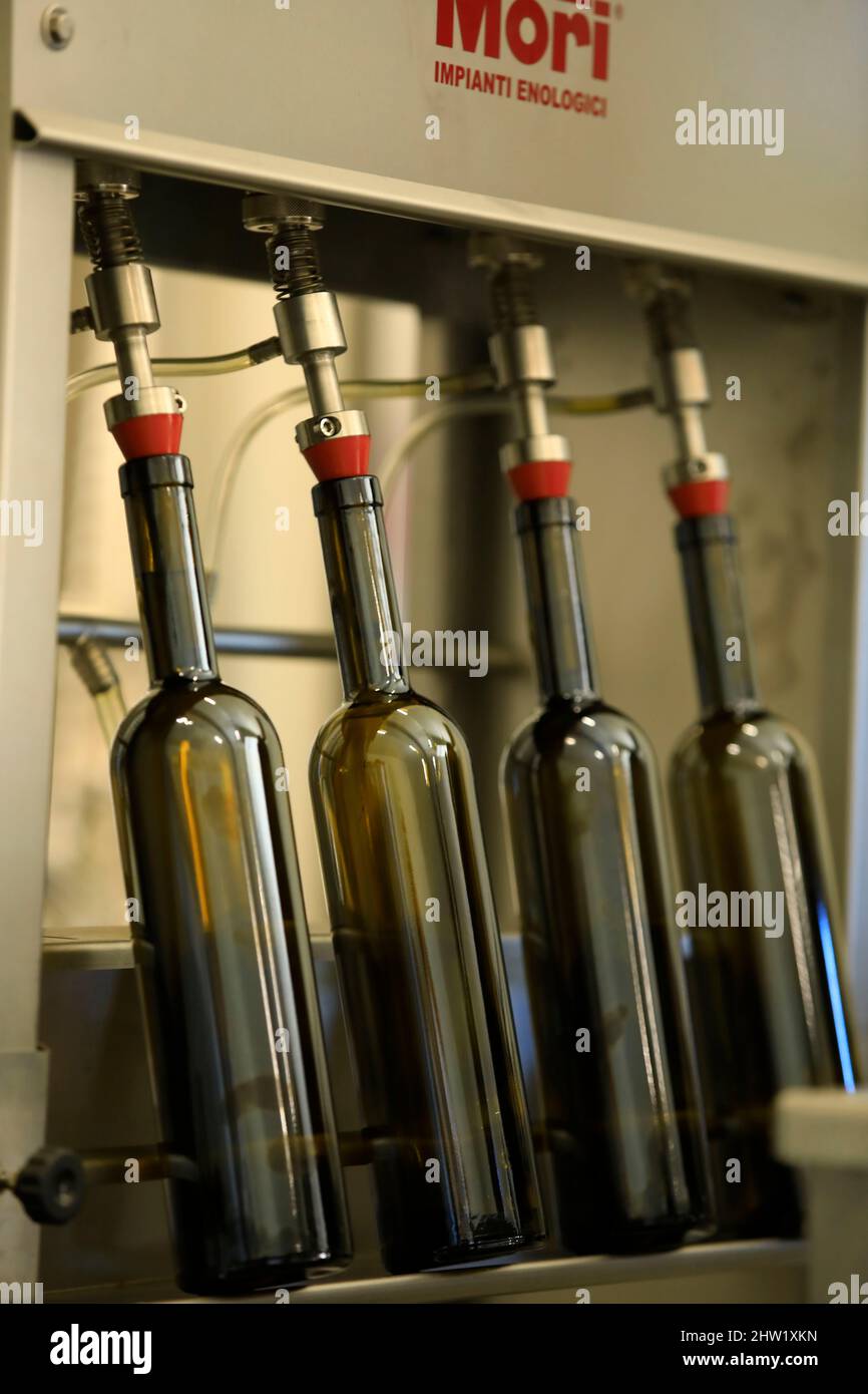 France, Bouches du Rhone, Alpilles Regional Nature Park, Aureille, Maricera olive oil, producers Emilie and Nicolas Racamier, bottling Stock Photo