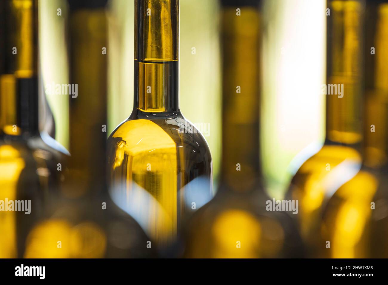 France, Bouches du Rhone, Alpilles Regional Nature Park, Aureille, Maricera olive oil, producers Emilie and Nicolas Racamier, bottling Stock Photo