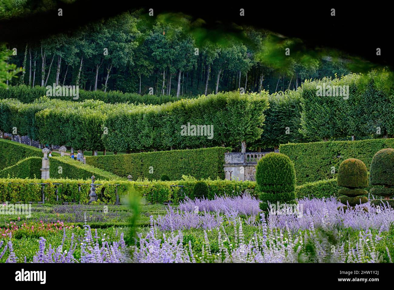 France, Indre et Loire, Loire Valley on the World Heritage list of UNESCO, castle and gardens of Villandry, built in 16 th century, in Renaissance style Stock Photo