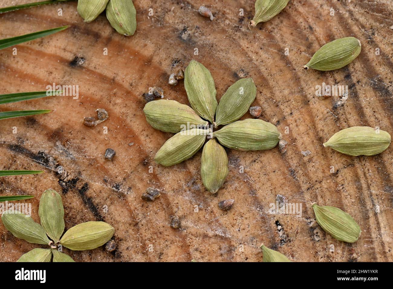closeup the bunch green ripe cardamom with brown beans over out of focus wooden background. Stock Photo