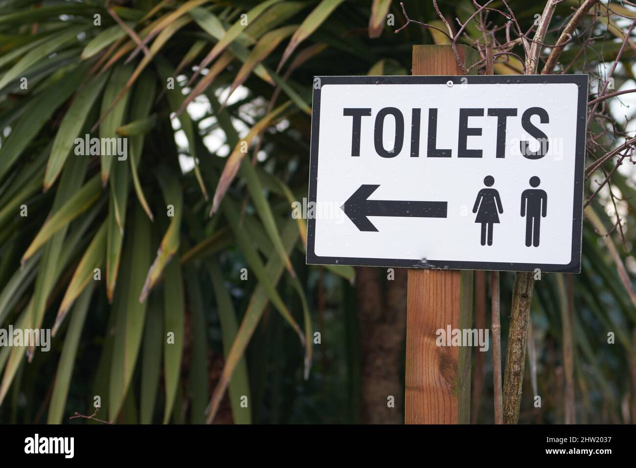 Men and women toilet sign with an arrow showing direction Stock Photo ...