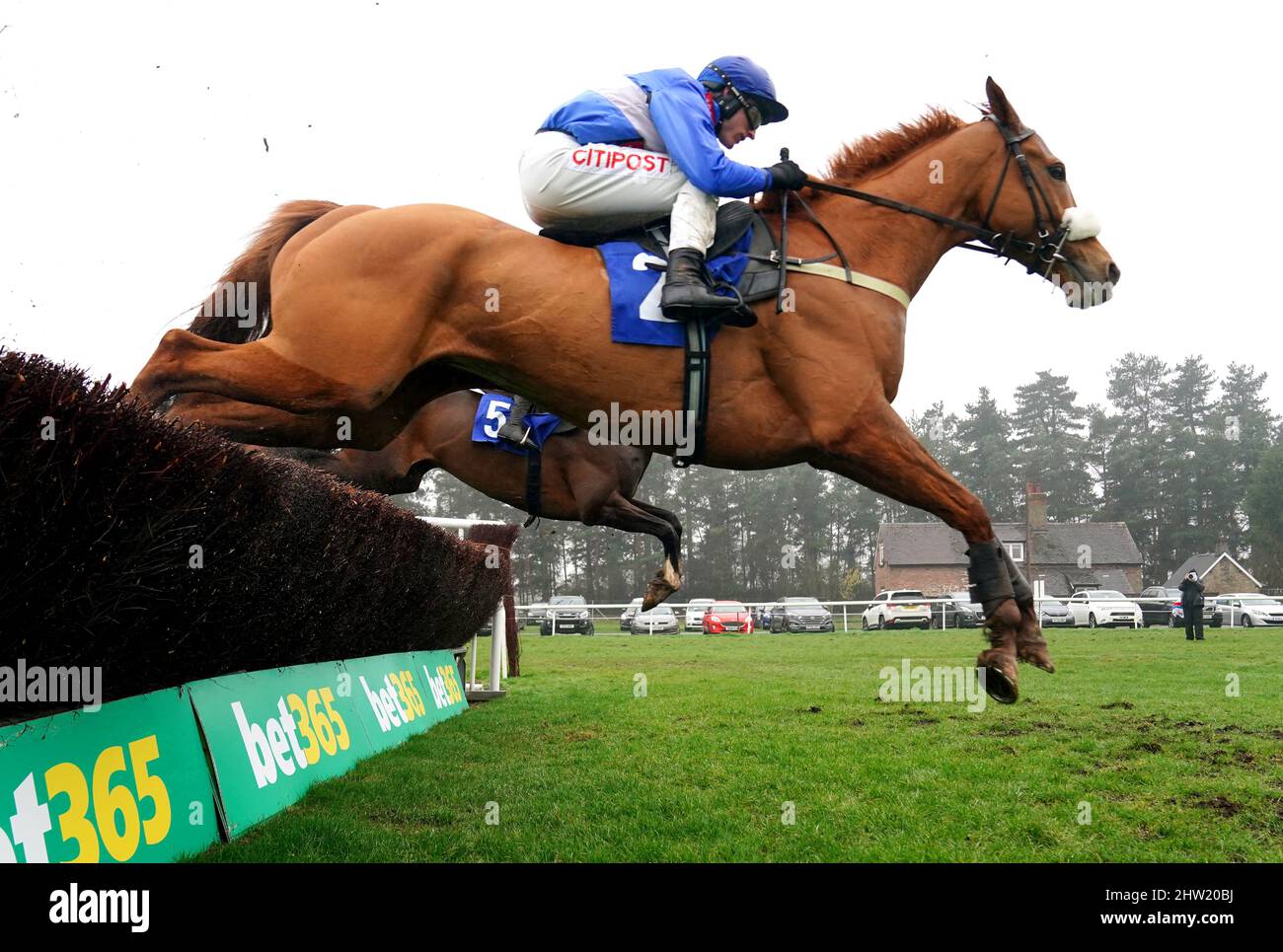 Golden whisky horse hires stock photography and images Alamy