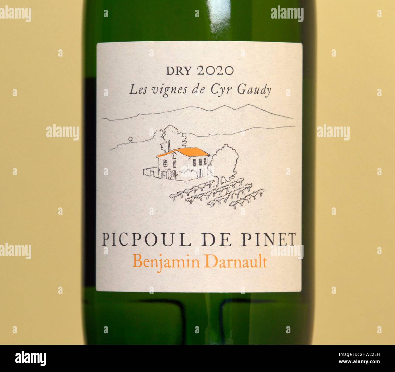 Wine label. Benjamin Darnault. Picpoul De Pinet. Dry 2020. Les vignes de Cyr Gaudy. Stock Photo