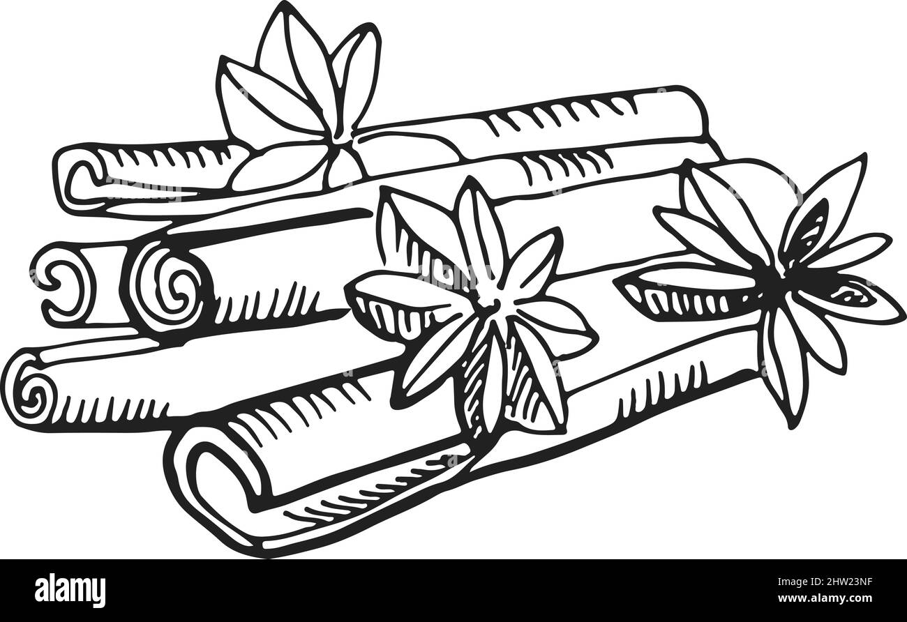 Flat sketch cinnamon sticks isolated Royalty Free Vector