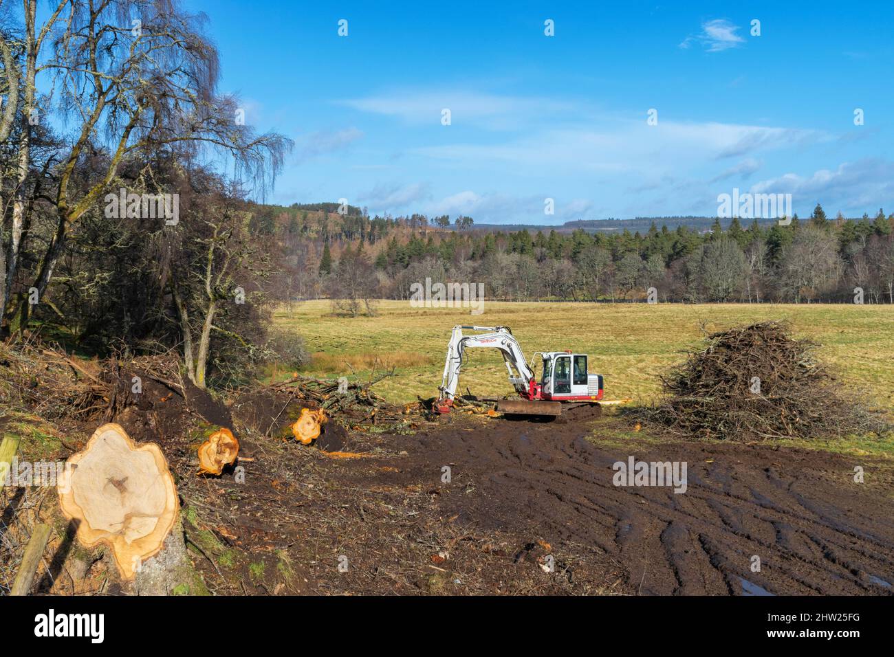 CUTTING AND CLEARING FALLEN TREES AND BRANCHES WITH A TAKEUCHI MECHANICAL SAW AND TRACKED EXCAVATOR Stock Photo