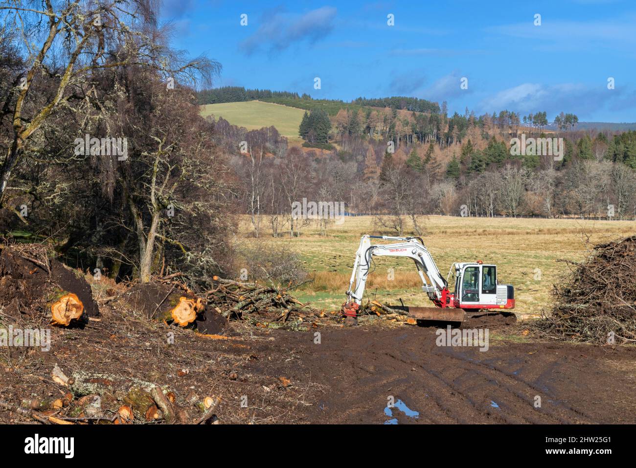 CUTTING AND CLEARING FALLEN TREES WITH A TAKEUCHI MECHANICAL SAW AND TRACKED BULLDOZER OR EXCAVATOR Stock Photo