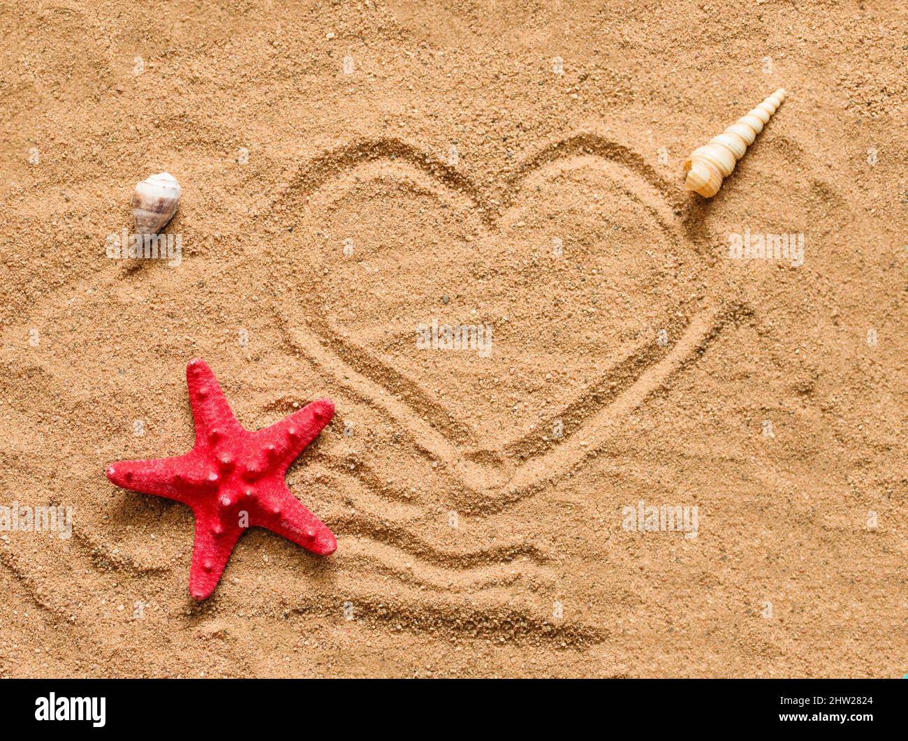 Sandy beach with red starfish Transportation background. Beautiful beach. Travel concept. Natural seascape. Travel concept. Summer vacation. Stock Photo