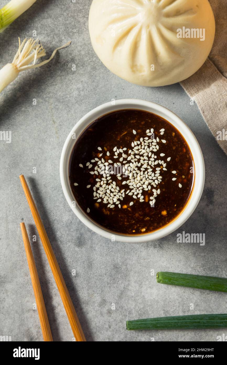 Savory Homemade Chinese Dipping Sauce with Soy and Sesame Stock Photo ...