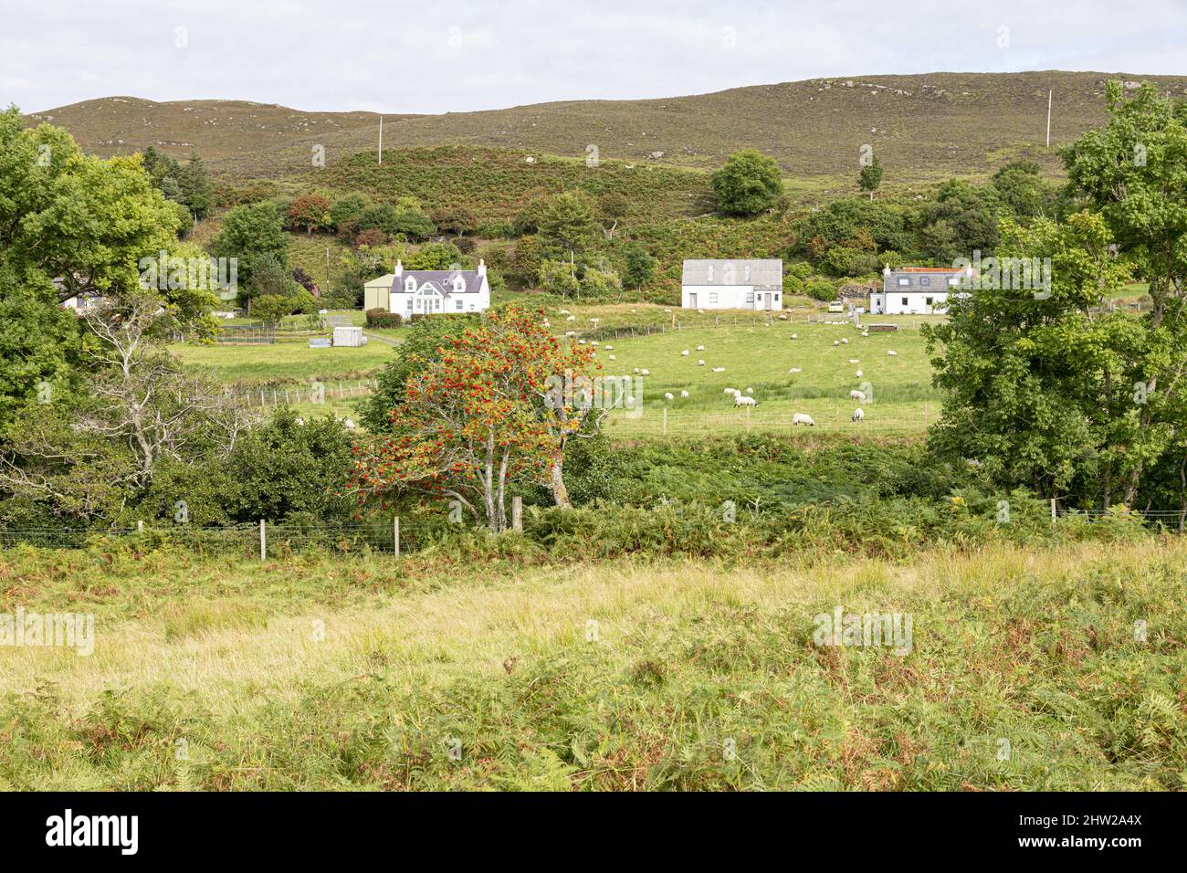 The tiny hamlet of Achnacloich near Tarskavaig on the Sleat Peninsula in the south of the Isle of Skye, Highland, Scotland UK Stock Photo