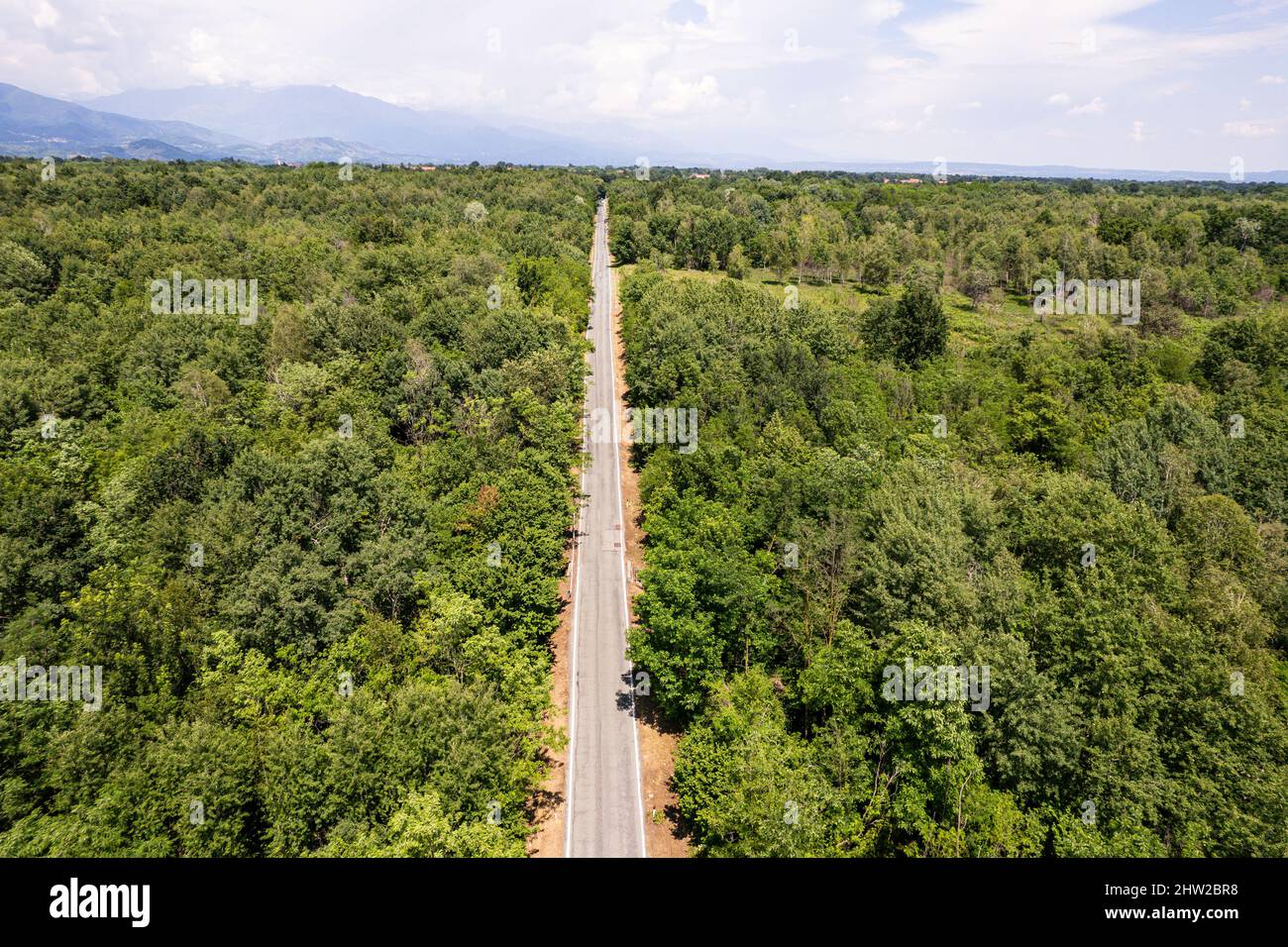 Aerial view of a road in the middle of the forest Stock Photo