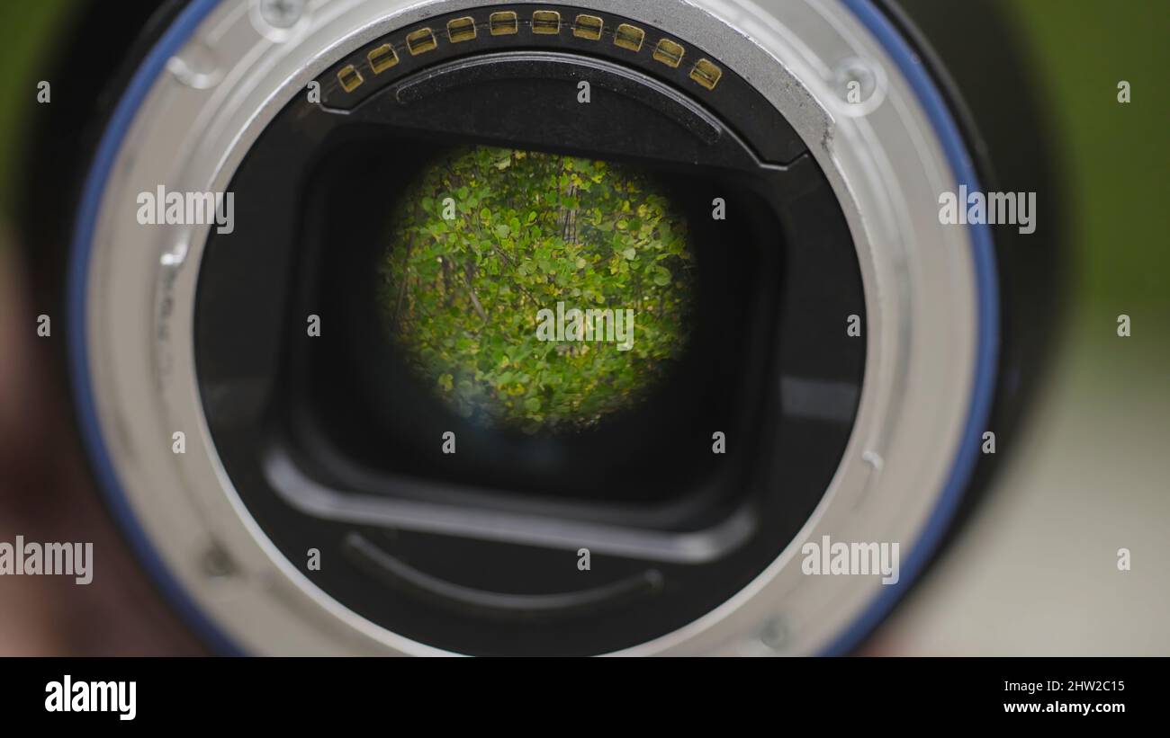 Green trees reflected in camera lens. Action. Camera lens is aimed at ...