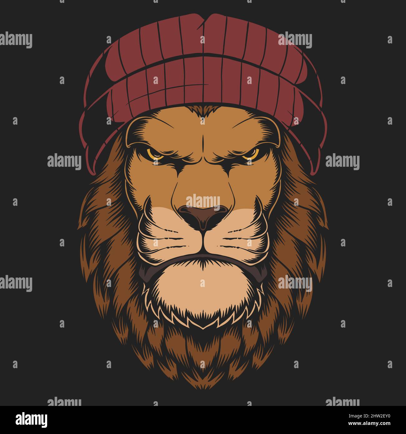 Lion beanie hat vector illustration Stock Vector Image & Art - Alamy