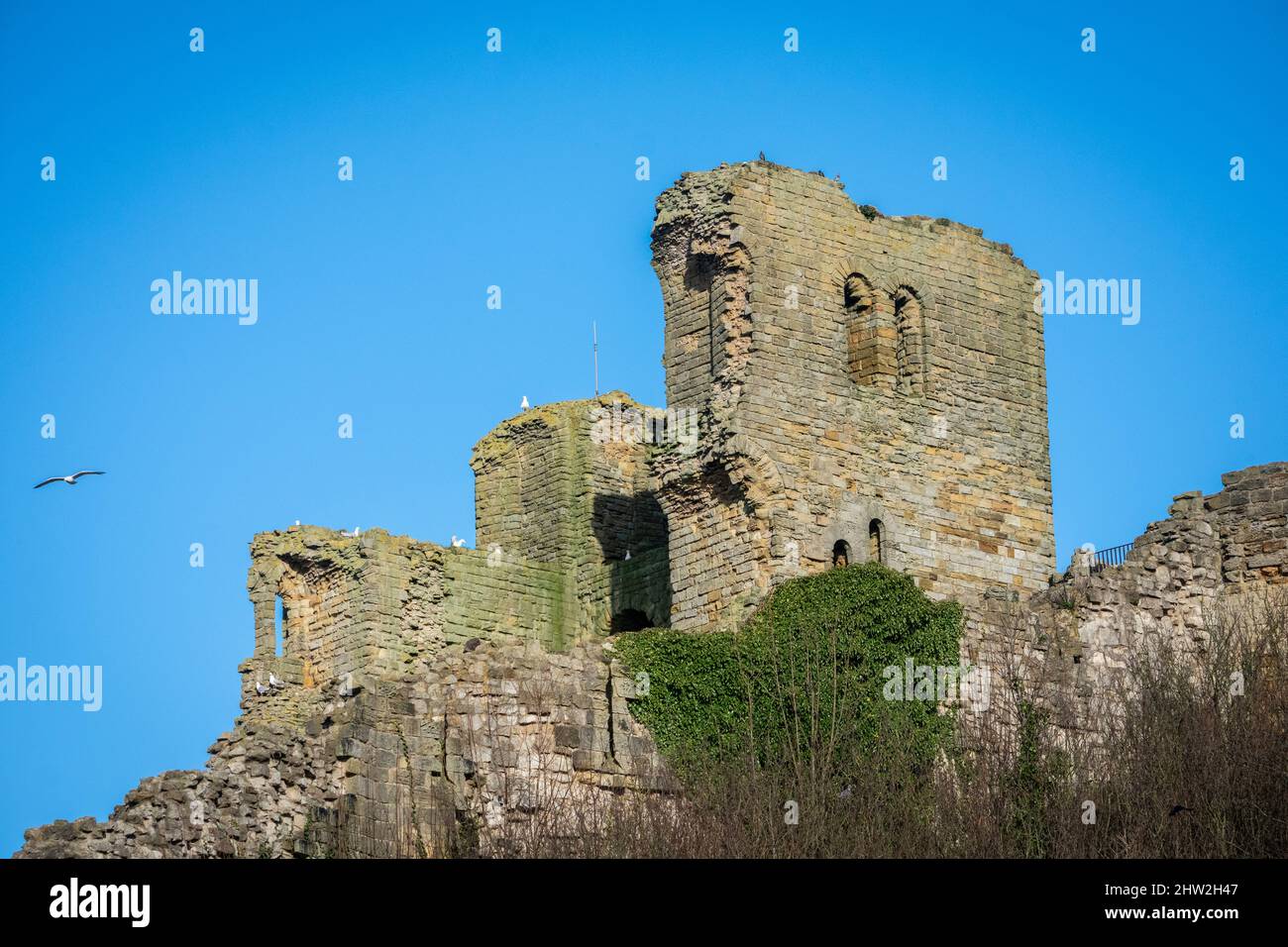 Scarborough Castle, Yorkshire, England Stock Photo