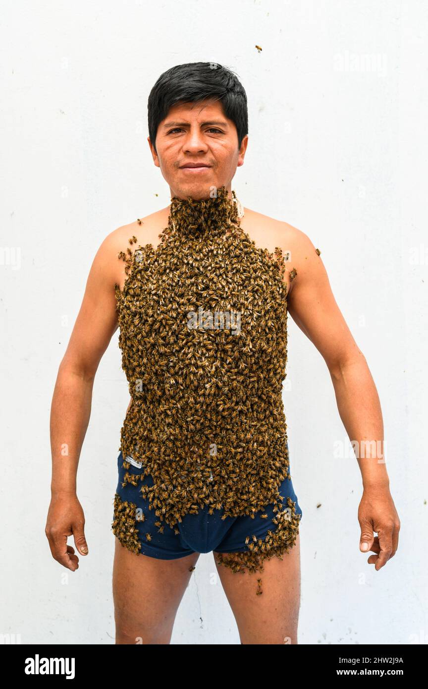 Man covered by many bees Stock Photo Alamy