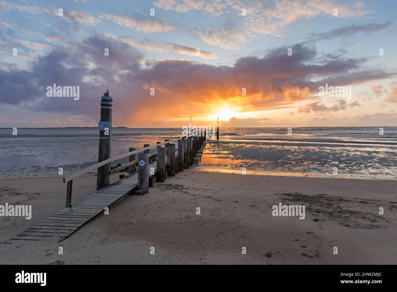 Wooden jetty / pier at low tide / ebb in Utersum at sunset on the island of Föhr in the district of Nordfriesland, Schleswig-Holstein, Germany Stock Photo