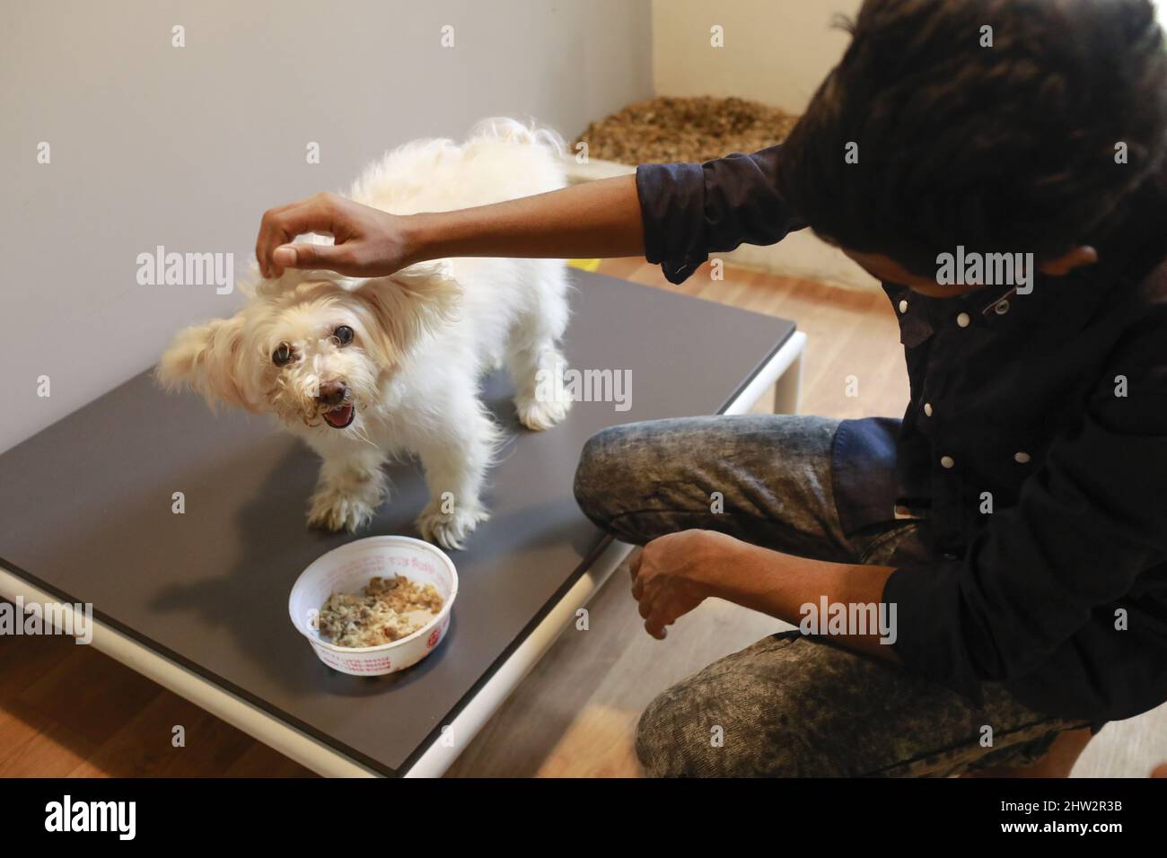 Dhaka, Bangladesh. 03rd Mar, 2022. Furryghor, the firstever boarding