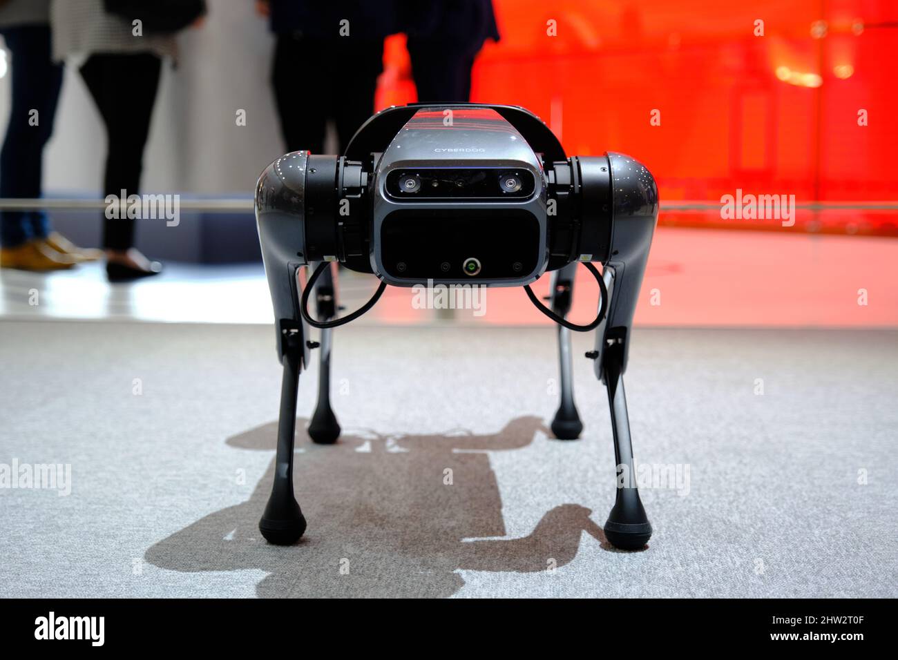 Barcelona, Spain - March 2nd 2022 - Mobile World Congress - Cyberdog at Xiaomi booth Stock Photo