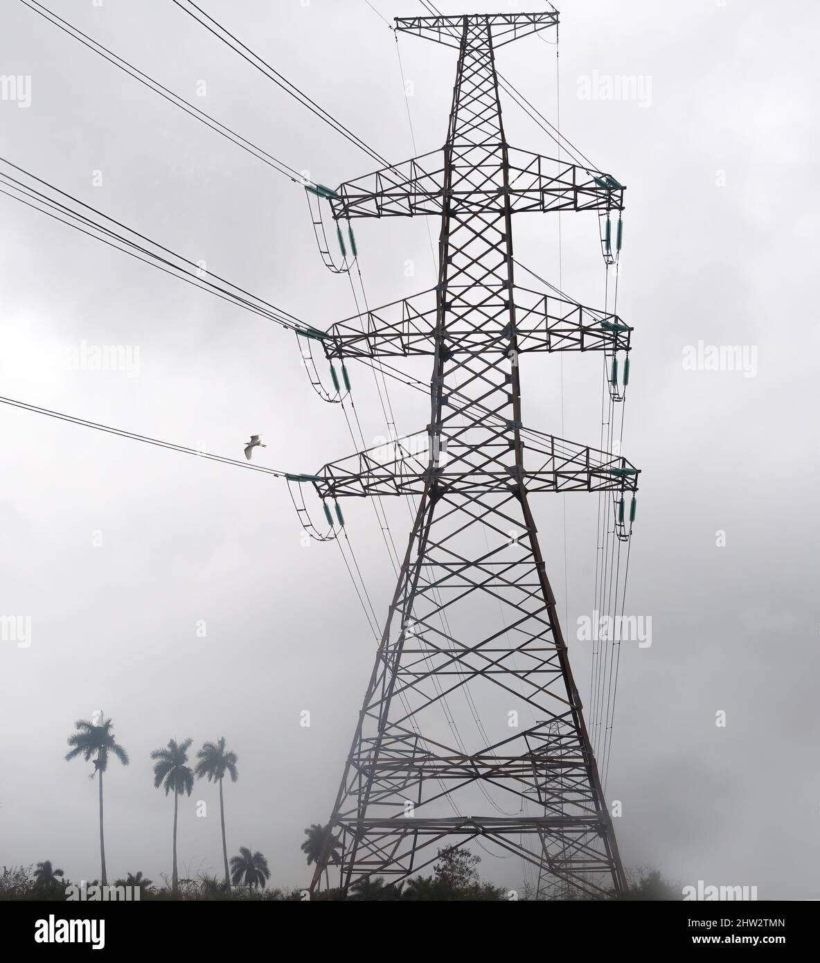 Cuban electricity power lines Stock Photo Alamy