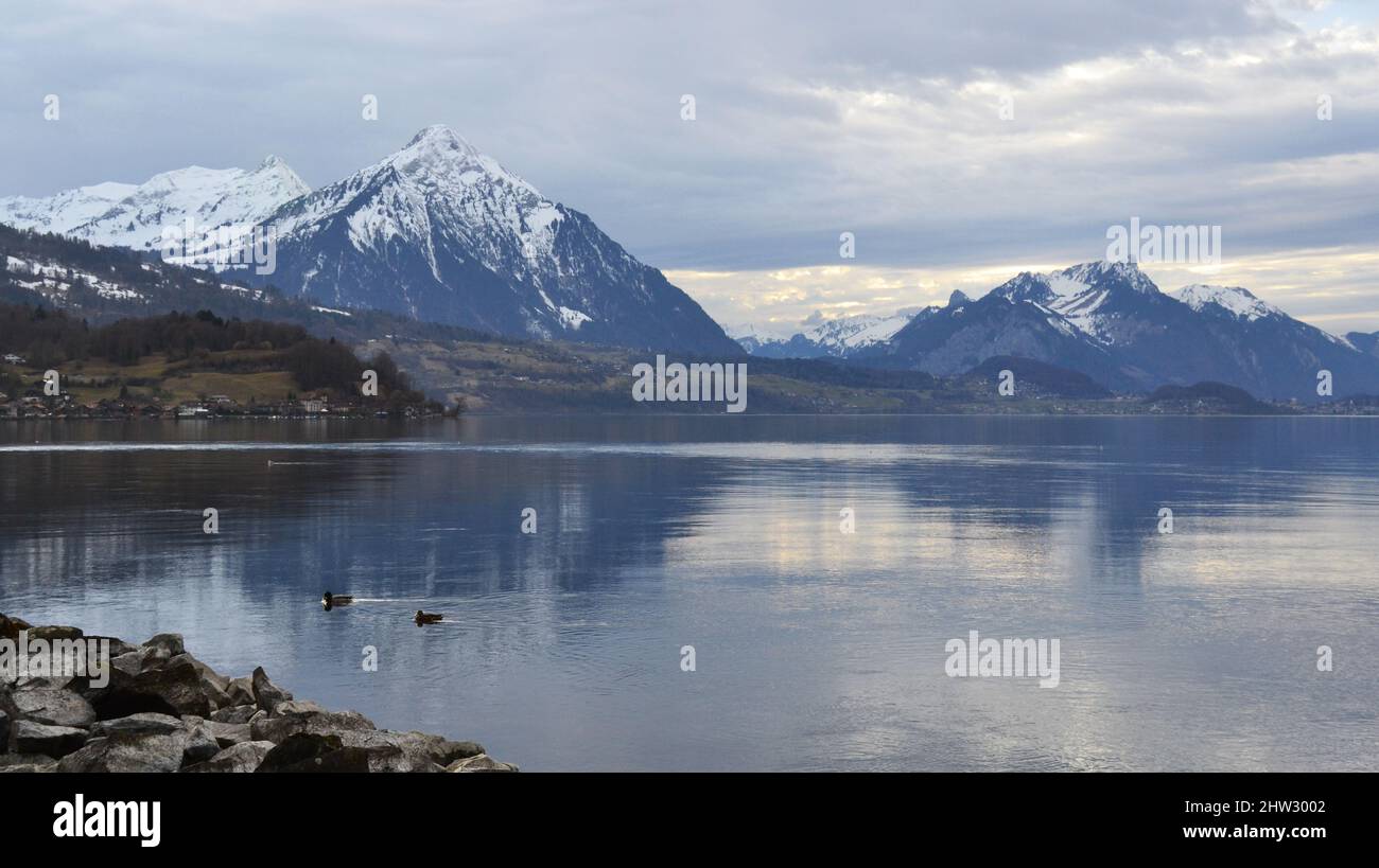 Lake Thun in Switzerland during early spring Stock Photo