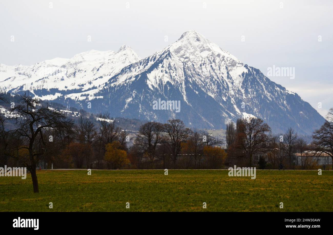 Meadows and mountains near Interlaken, Switzerland Stock Photo
