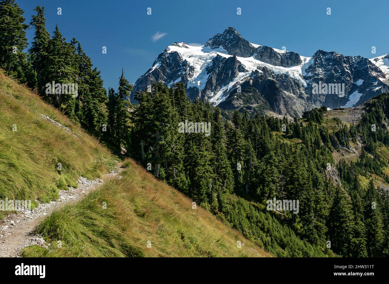 A glacier covered peak (Mt. Shuksan) rises above a hiking trail near Mt Baker, Washington. Stock Photo