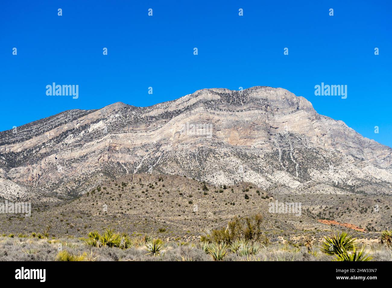 Landscape view of Turtlehead Mountain in Southern Nevada Stock Photo