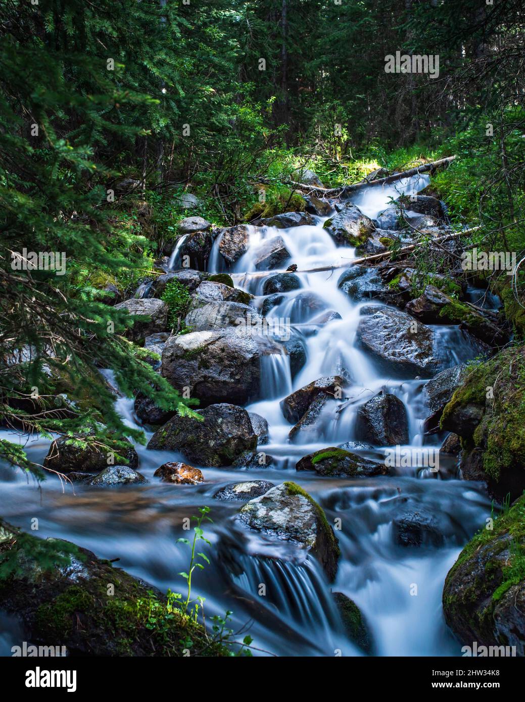 A stream cascades down rocks in the middle of the forest Stock Photo