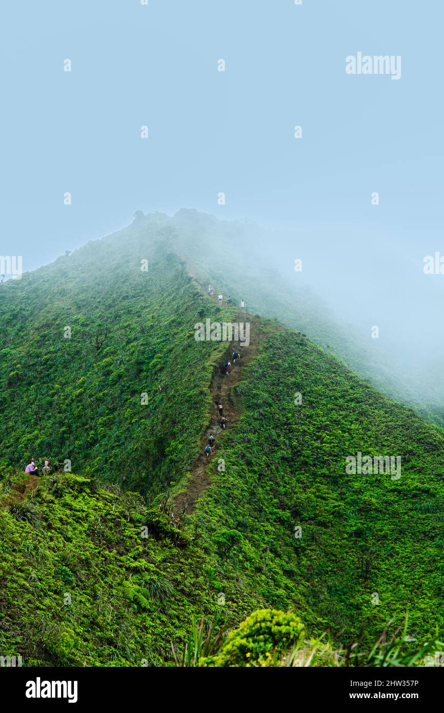 The stairway to heaven hawaii hi-res stock photography and images - Alamy