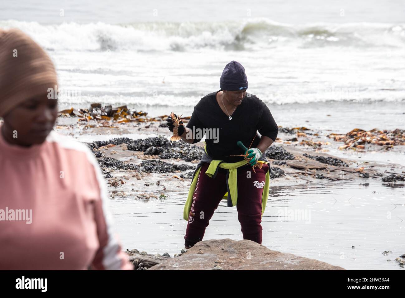 West Coast, South Africa. 3rd Mar, 2022. A person clears rock lobsters on a beach in West Coast area, Western Cape Province, South Africa, on March 3, 2022. South Africa's environmental department on Wednesday said it has activated a contingency plan and issued a red alert after an estimate of 500-tonne rock lobsters had been spotted on the shore as of Tuesday because of a toxic algal bloom, or red tide. Credit: Lyu Tianran/Xinhua/Alamy Live News Stock Photo