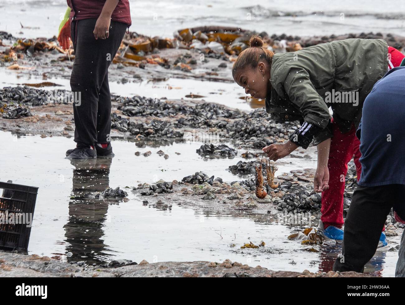 West Coast, South Africa. 3rd Mar, 2022. People clear rock lobsters on a beach in West Coast area, Western Cape Province, South Africa, on March 3, 2022. South Africa's environmental department on Wednesday said it has activated a contingency plan and issued a red alert after an estimate of 500-tonne rock lobsters had been spotted on the shore as of Tuesday because of a toxic algal bloom, or red tide. Credit: Lyu Tianran/Xinhua/Alamy Live News Stock Photo