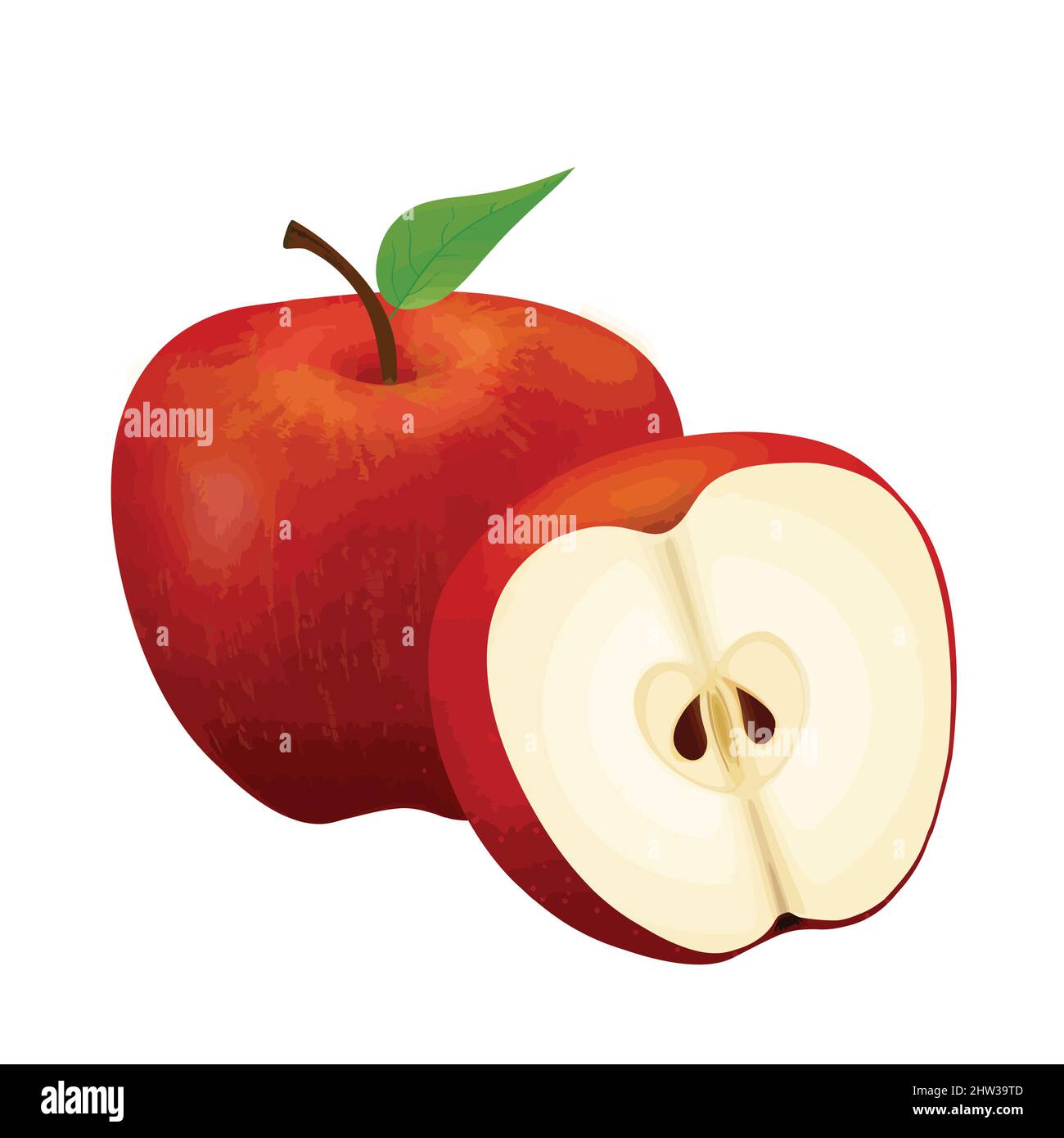 Red juicy apple with green leaf and half apple on white background, vector illustration Stock